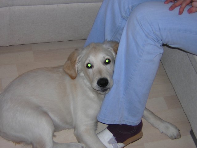 Original image